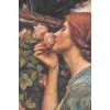 Soul of Rose European Tapestry | Close Up 1