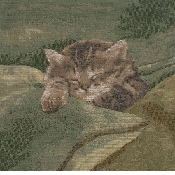 Sleeping Cat Blue