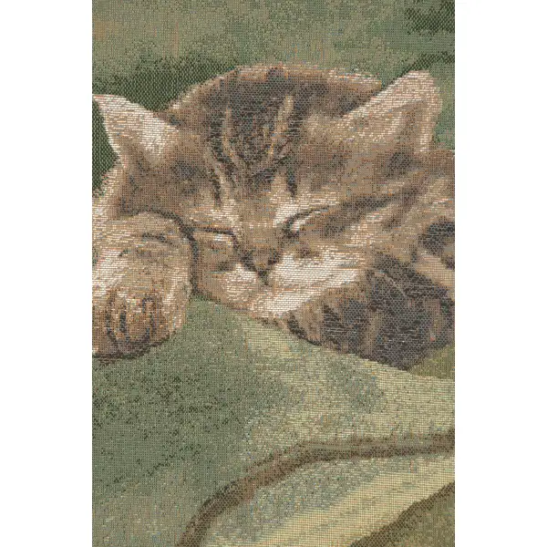 Sleeping Cat Blue