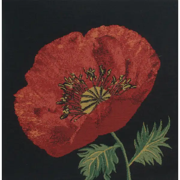 Poppy Red I