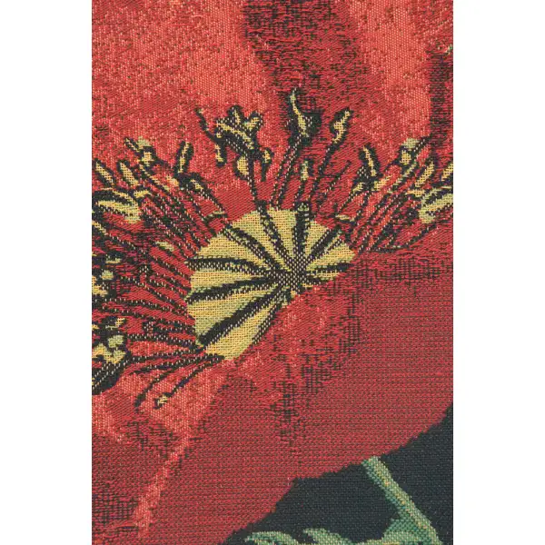 Poppy Red I