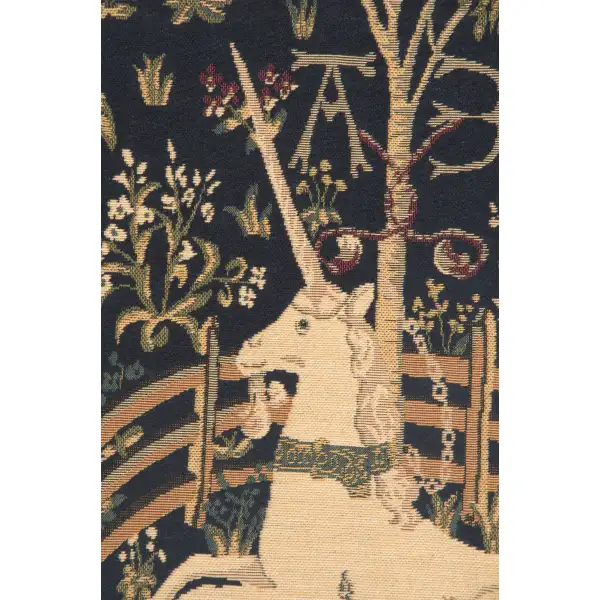 Unicorn in Captivity V
