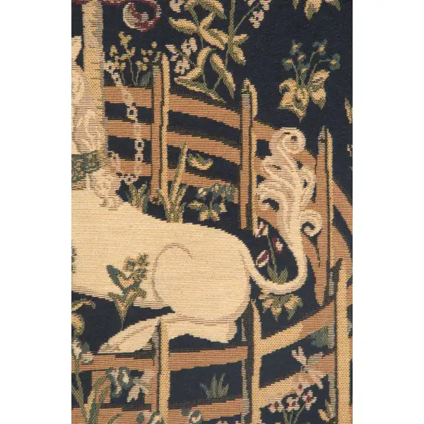 Unicorn in Captivity V