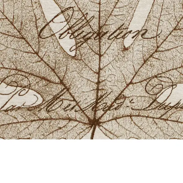 Maple Document