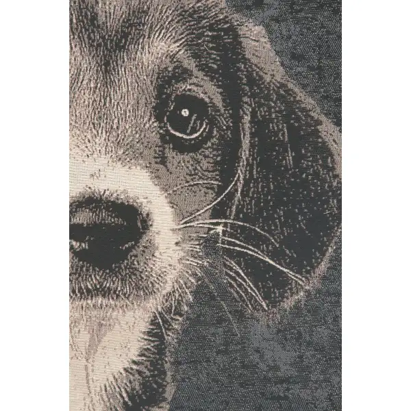 Puppy Dog Eyes