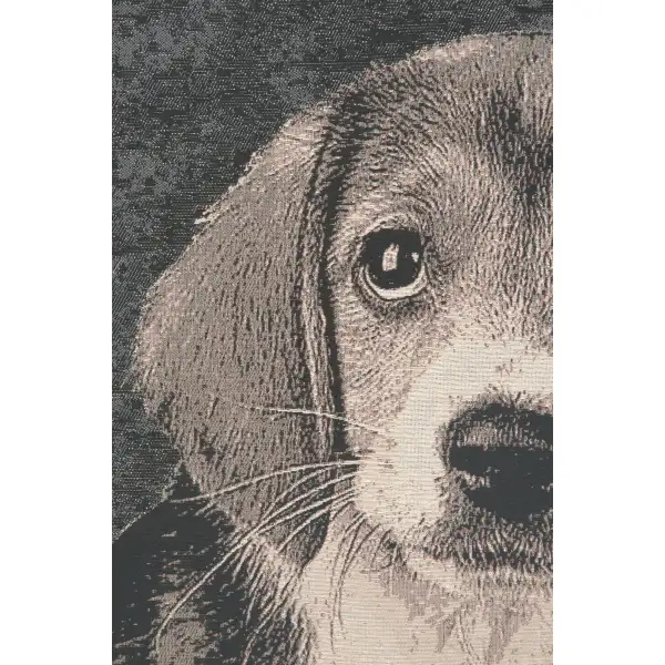 Puppy Dog Eyes