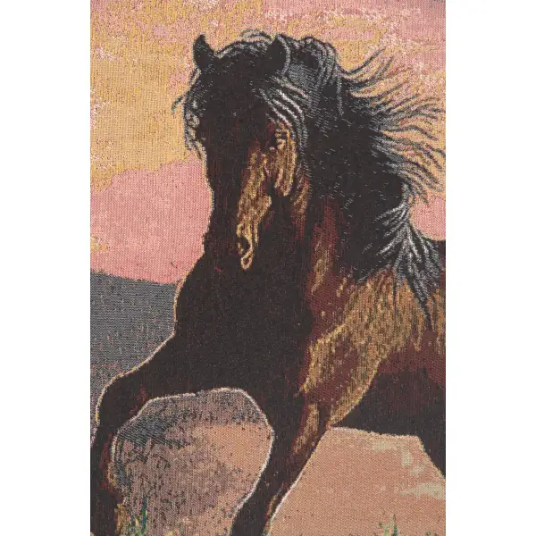 Gallop