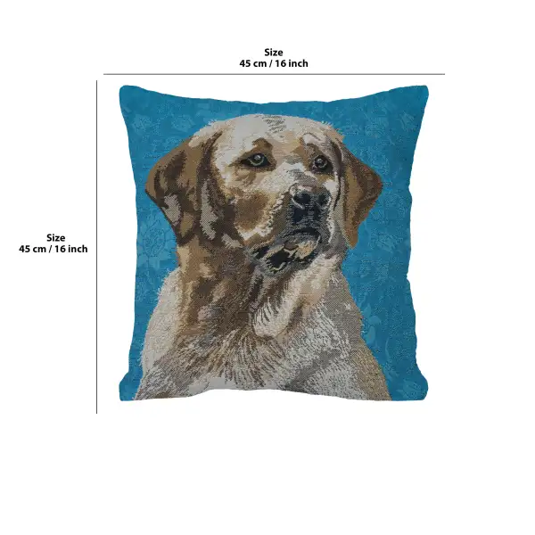 Labrador Blue