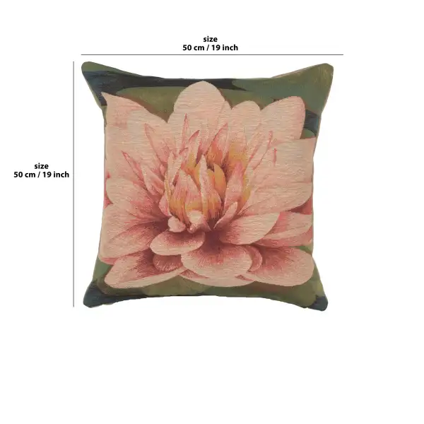 Water Lilly Flower