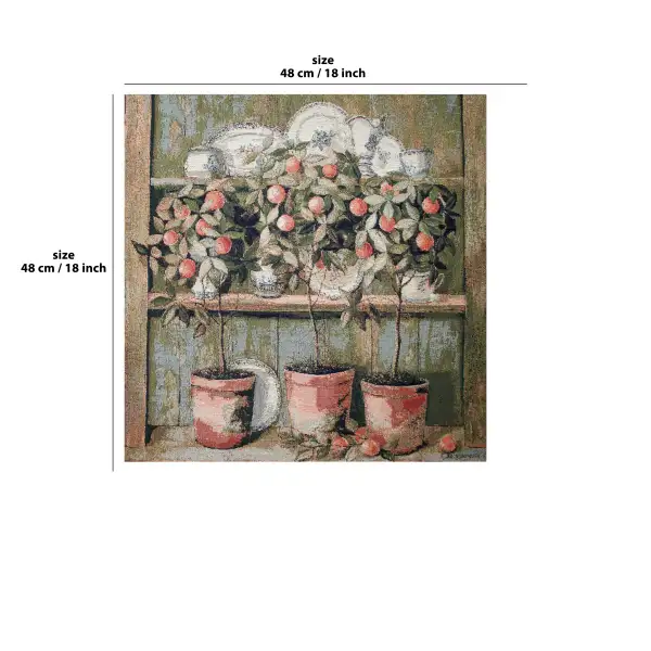 Potted Orange Trees