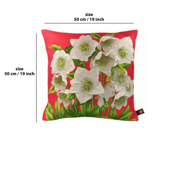 Helleborus Red