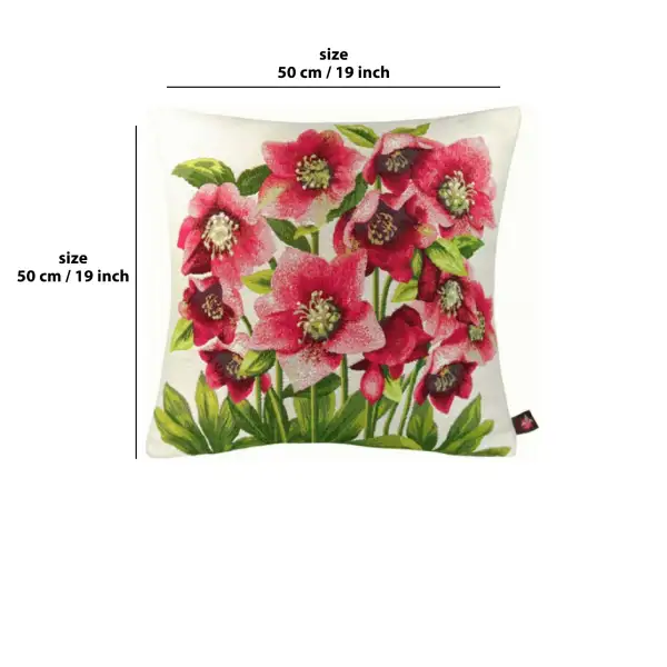 Hellebores White
