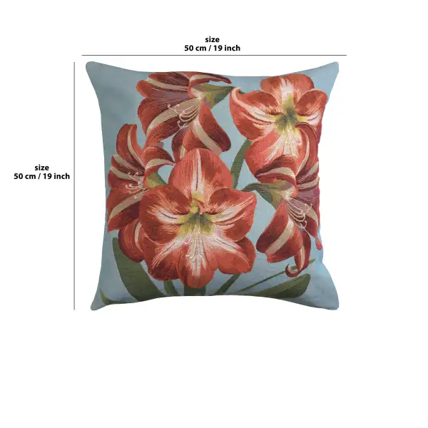 Amaryllis Flowers V Blue