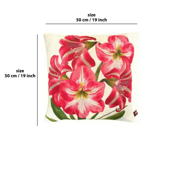 Amaryllis 5 Flowers White