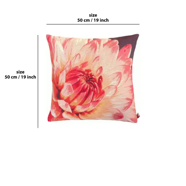 Close Up Pink Dahlias Purple Background