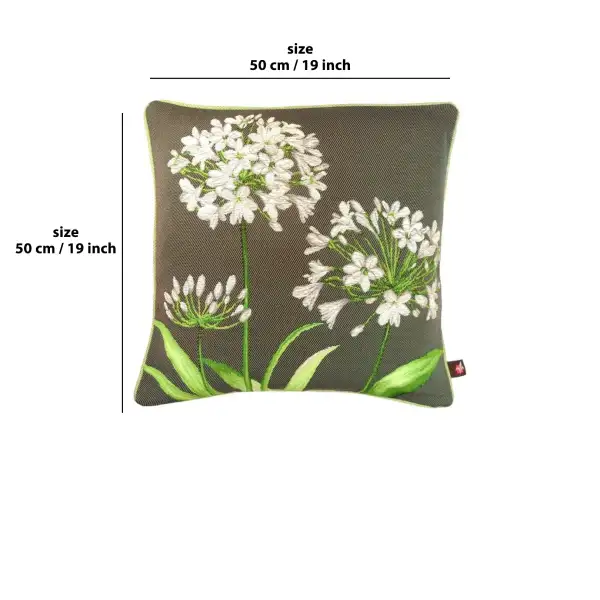 Agapanthus 3 Flowers Grey