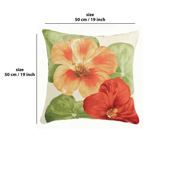 Nasturtium 2 White