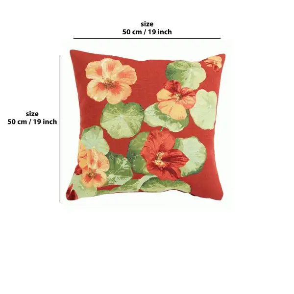 Nasturtium Red I