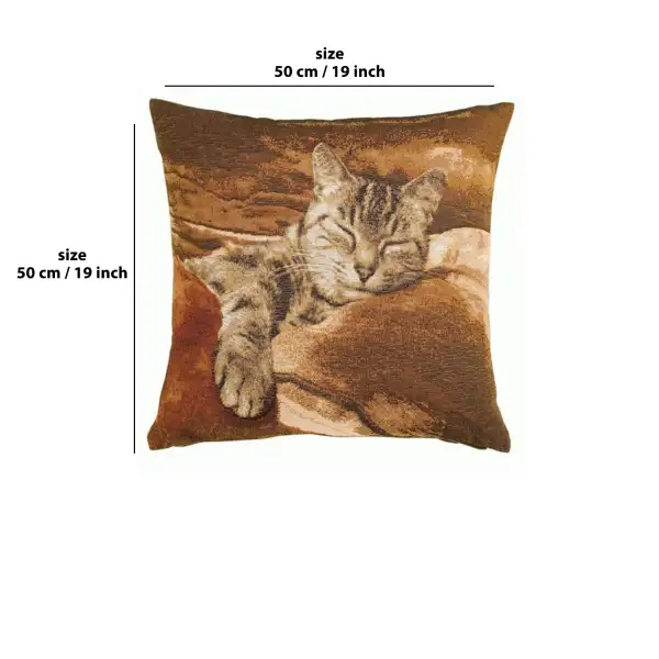 Sleeping Cat Brown I