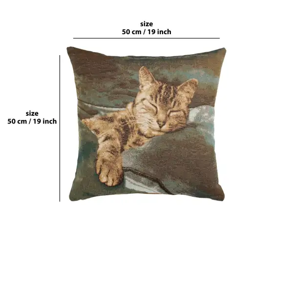Sleeping Cat Blue 1