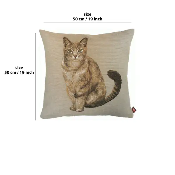 Tabby Cat Sitting Light Grey