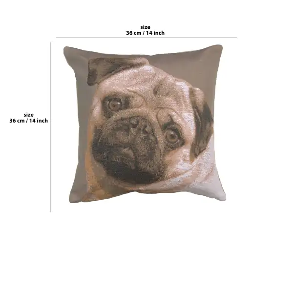 Pugs Face Grey I