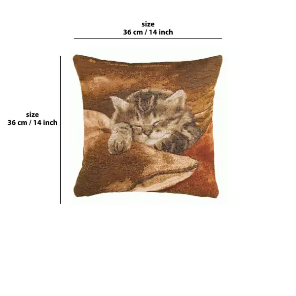 Sleeping Cat Brown