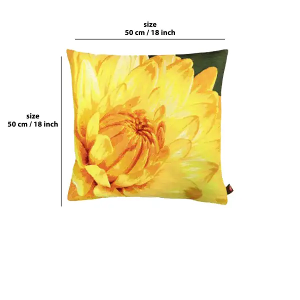 Close up on Yellow Dahlias Dark Background