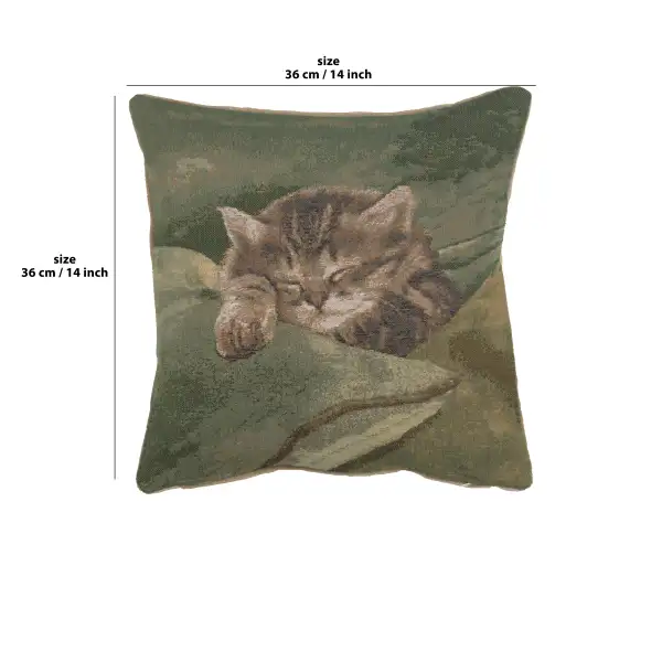 Sleeping Cat Blue