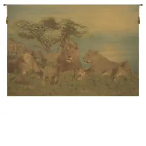 Lions Pride Belgian Tapestry 48x70