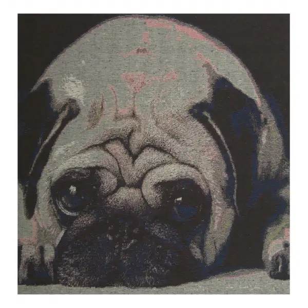 An Ecstatic Pug