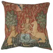 The Sight I Large European Cushion Cover