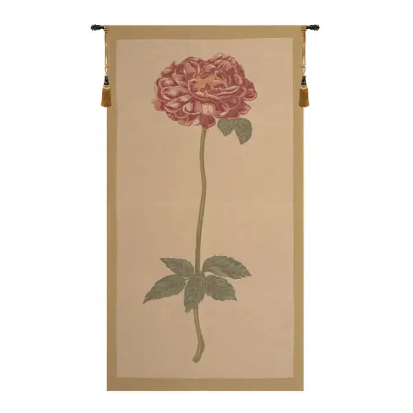 Redoute Rose