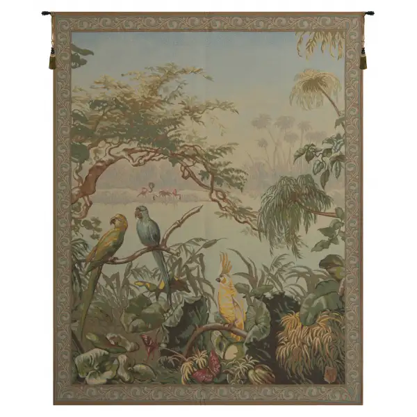Oiseaux Exotique Exotic Birds