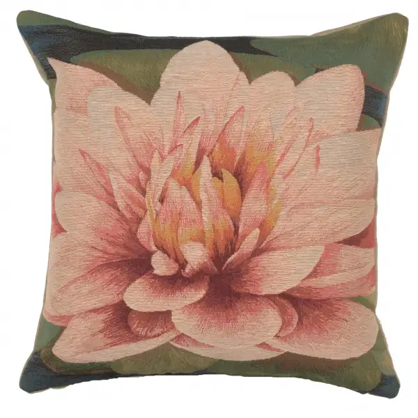 Water Lilly Flower