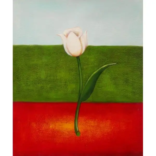 White Tulip