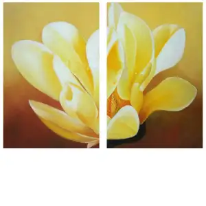 Sunlit Blossom Canvas Wall Art 24x32 Floral Botanical Decorative Home Decor