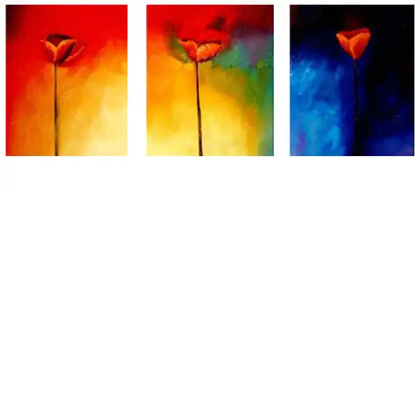 Triage of Tulips
