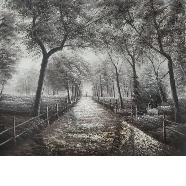 Peaceful Park Stroll