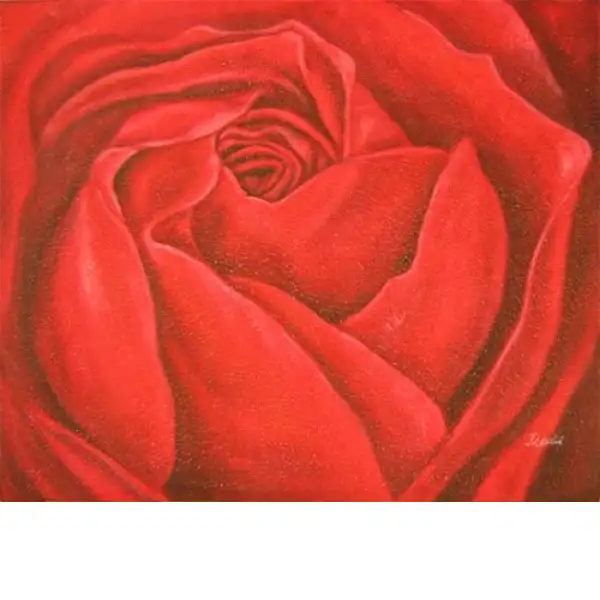 Red Rose