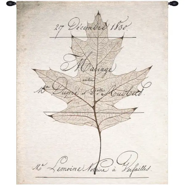 Birch Document