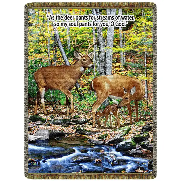 Deer - Streams of Water
