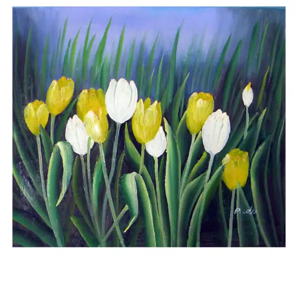 Budding Tulips