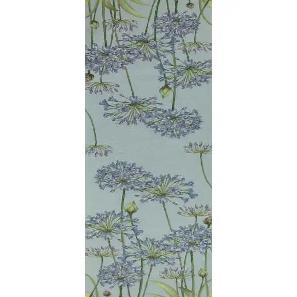 Agapanthus Blue