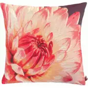 Close Up Pink Dahlias Purple Background European Cushion Cover