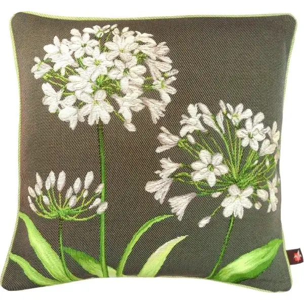 Agapanthus 3 Flowers Grey