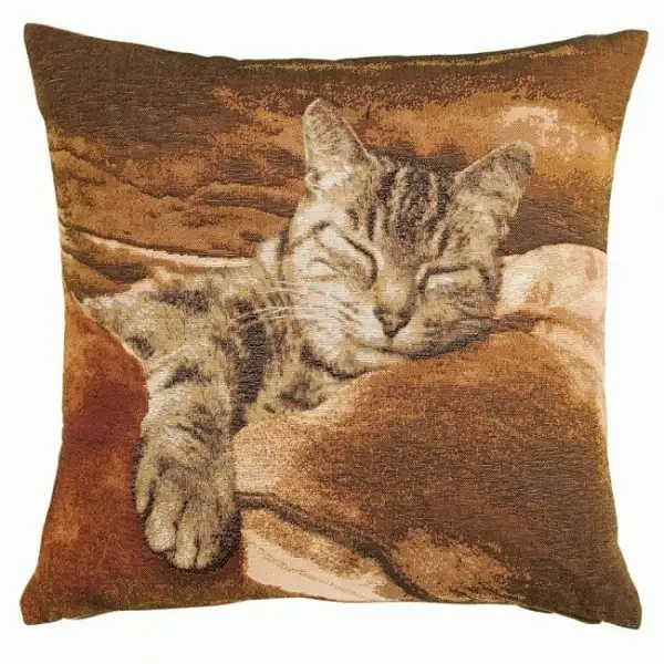 Sleeping Cat Brown I