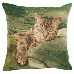 Sleeping Cat Green French Tapestry Pillow Cover 19x19 Inch Cotton Jacquard Woven Cushion Cover