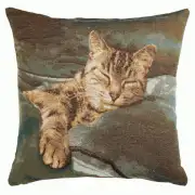 Sleeping Cat Blue 1 European Cushion Cover