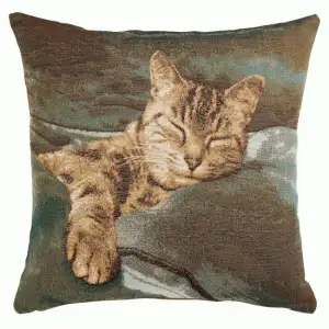 Sleeping Cat Blue French Tapestry Pillow Cover 19x19 Inch Cotton Jacquard Woven Cushion Cover